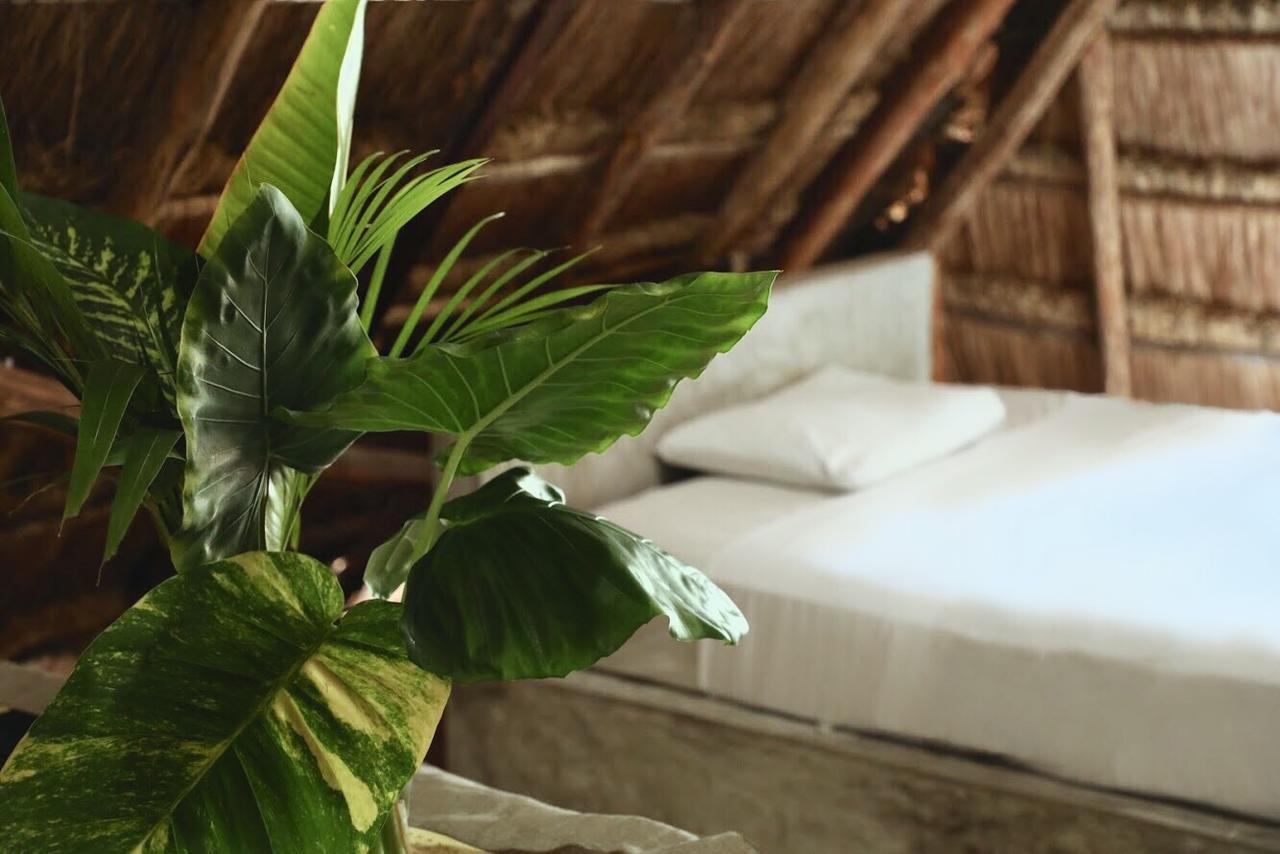 Aparthotel Tuup Jungle Tulum Zewnętrze zdjęcie